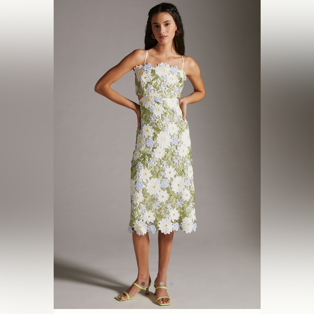Anthropologie Floral Dress Size 4